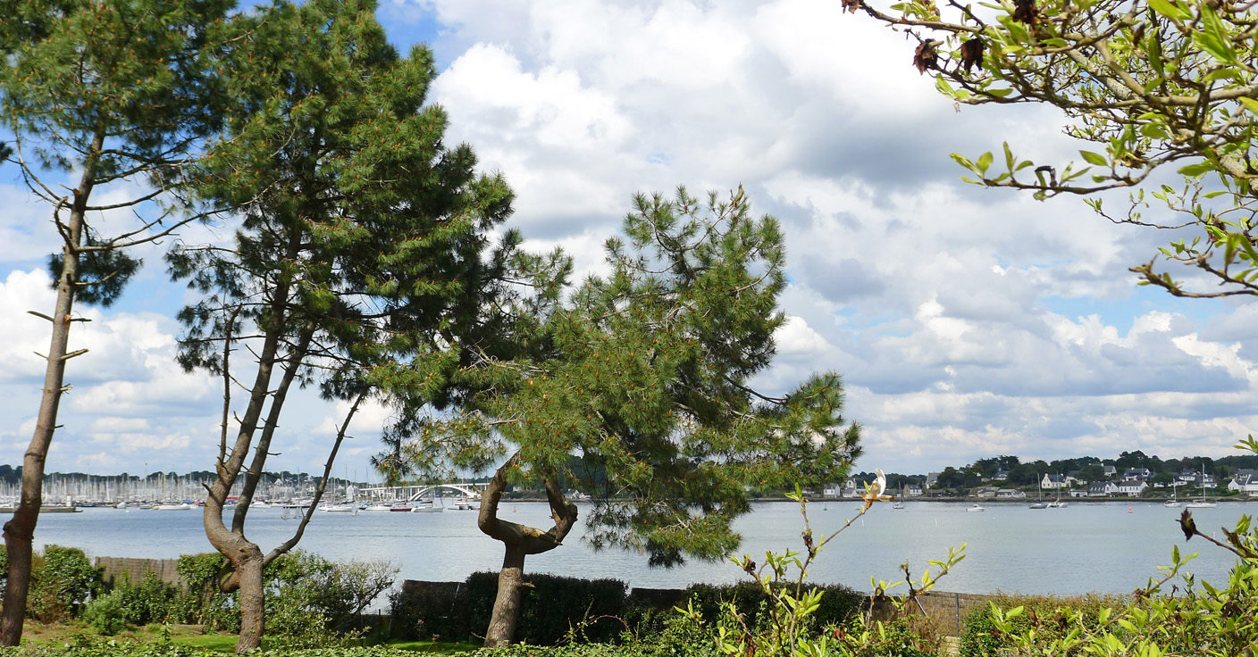 Maison vue mer Trinité-sur-Mer