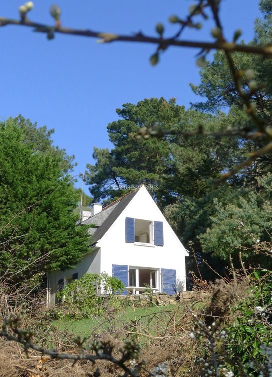 Maison les pieds dans l’eau Golfe du Morbihan Bretagne sud