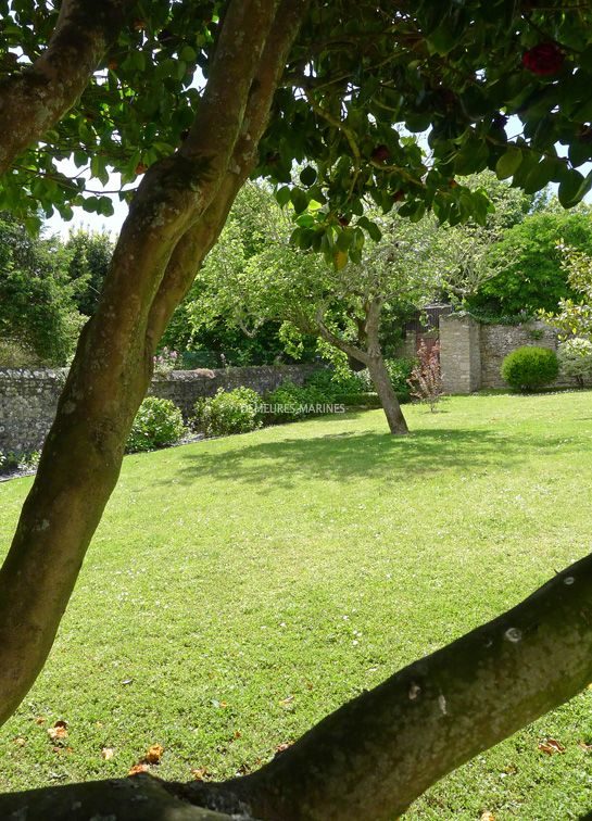 Maison de famille la Trinité-sur-Mer Morbihan Bretagne sud
