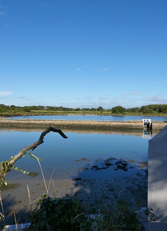Maison les pieds dans l’eau Baden Golfe du Morbihan