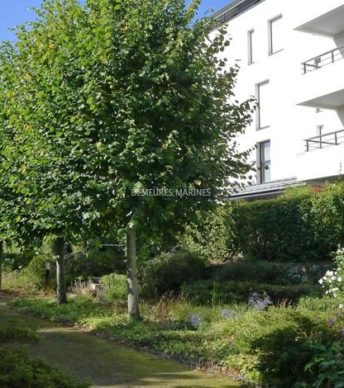 Appartement de standing en centre-ville de Vannes