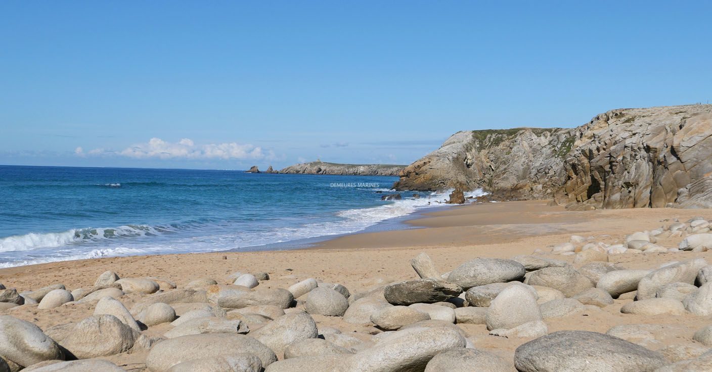 Maison vue mer Quiberon Côte Sauvage