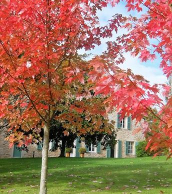 Manoir de caractère proche du centre-ville de Quimper