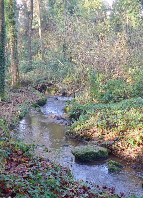 Ancien moulin à vendre à Plémy dans les Côtes d’Armor