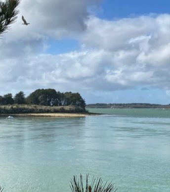 Terrain constructible au cœur du Golfe du Morbihan