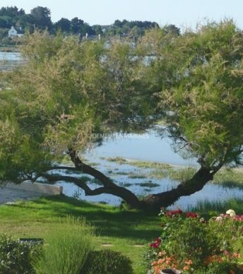 Propriété de prestige les pieds dans l’eau