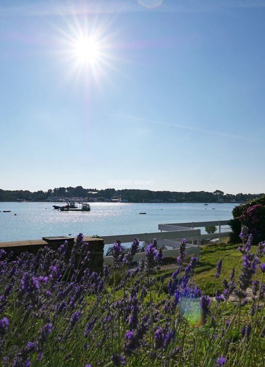 Maison Vue mer La Trinité Sur Mer Morbihan