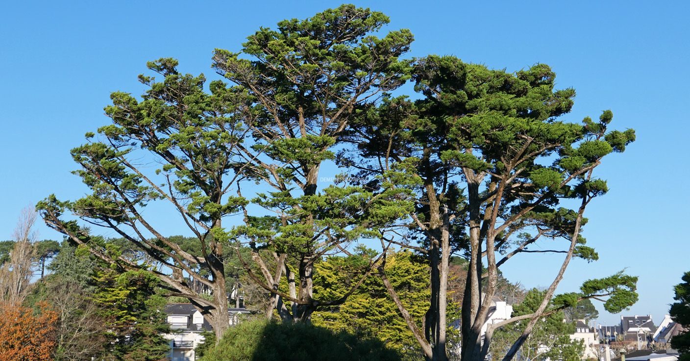 Appartement Ascenseur Trinité-sur-Mer Morbihan Bretagne Sud Demeures Marines