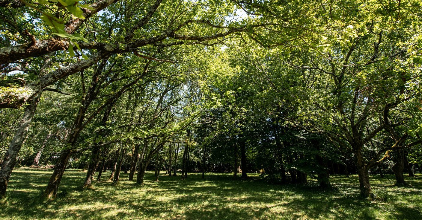 Propriété Arradon Morbihan