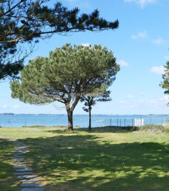 Première ligne sur la Presqu’île de Rhuys