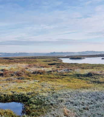 Propriété d’exception sur une île du Pays Bigouden dans le Finistère sud