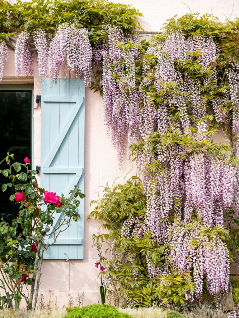 Propriété Familiale Dépendance Charme Centre-ville Saint-Goustan Auray Demeures Marines