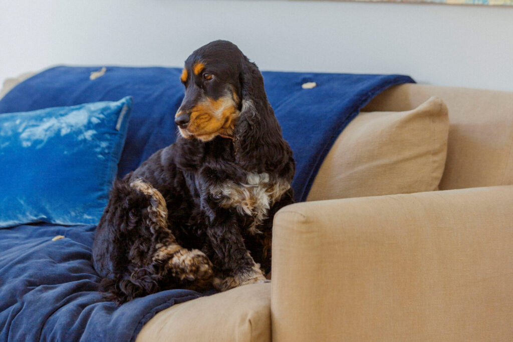 Sélection de bien de luxe par Demeures Marines