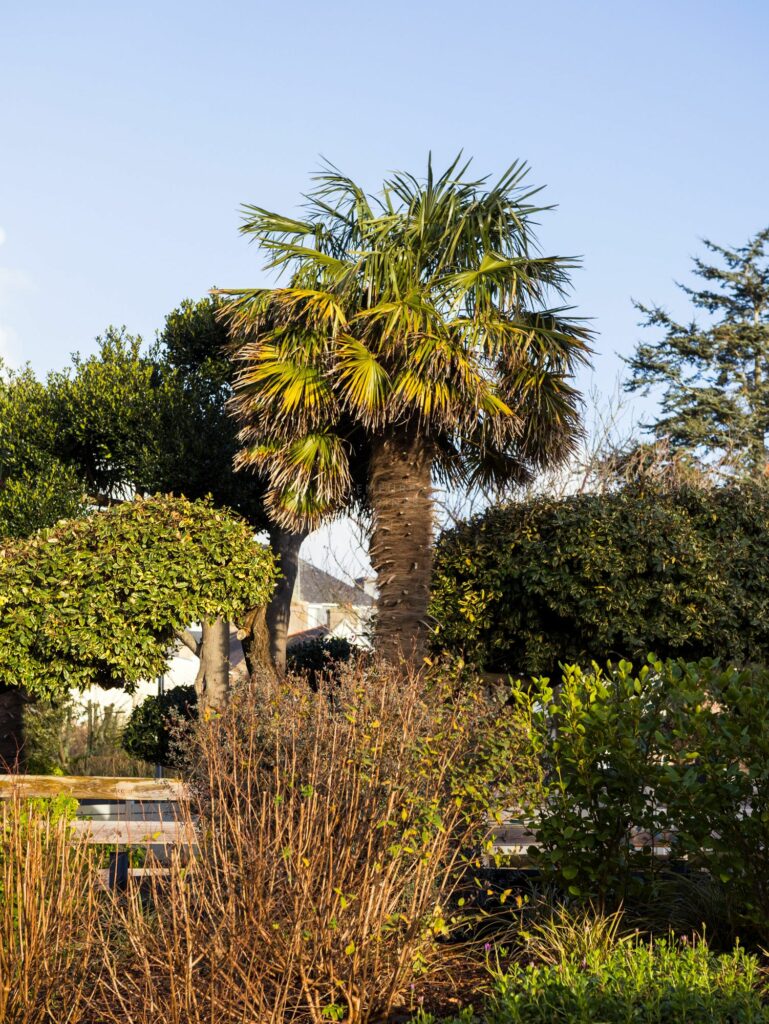 Maison composée deux logements Trébeurden Côtes D'Armor