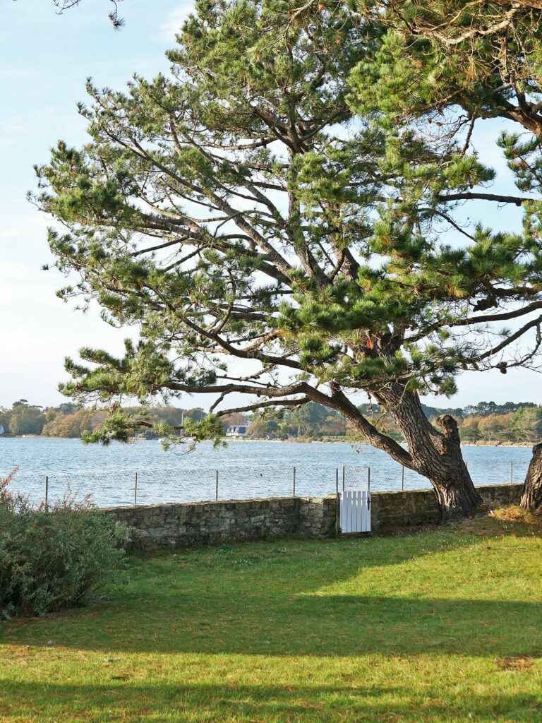 Maison de charme Vue mer Accès direct Golfe du Morbihan Larmor Baden Demeures Marines