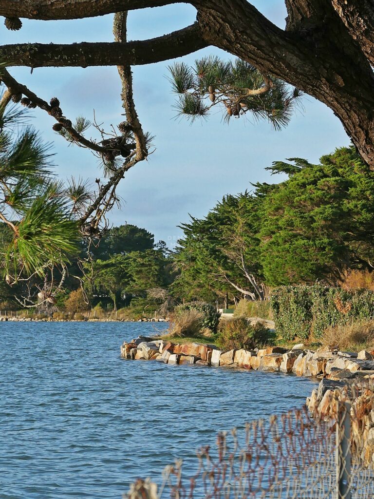Maison de charme Vue mer Accès direct Golfe du Morbihan Larmor Baden Demeures Marines