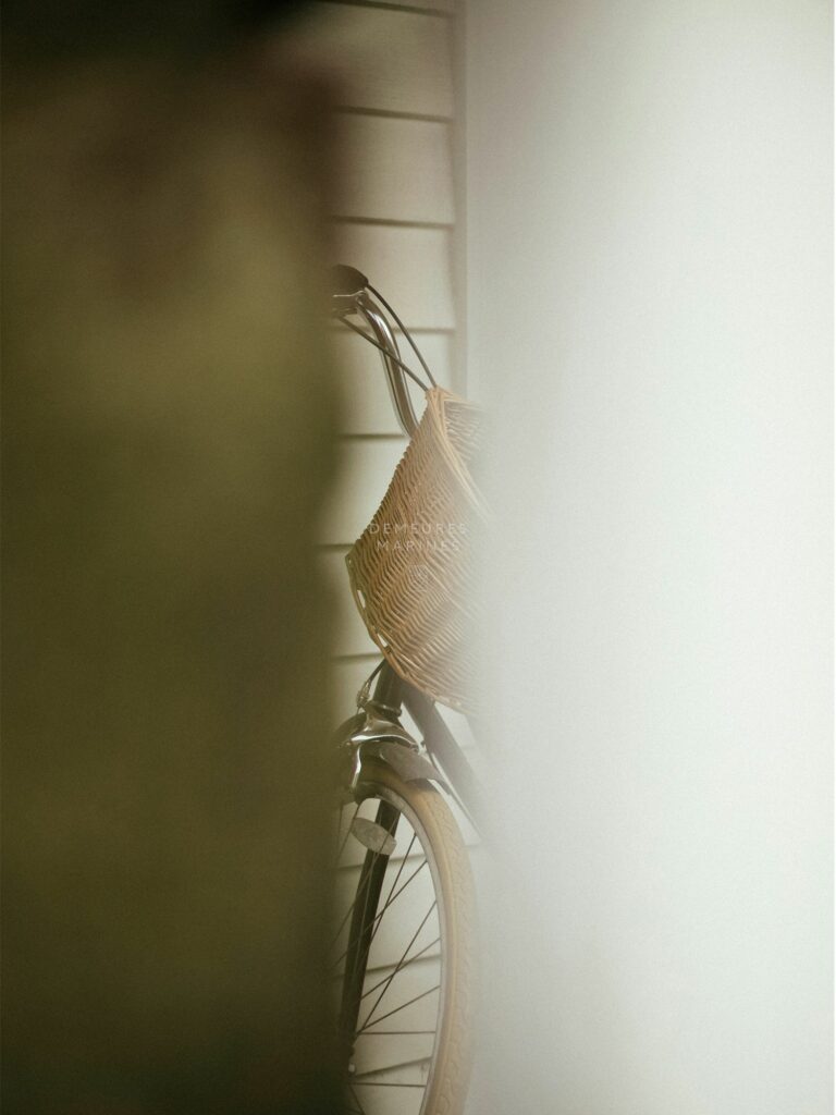 Maison Appartement Charme Terrasse Centre-ville Historique Vannes Morbihan Demeures Marines